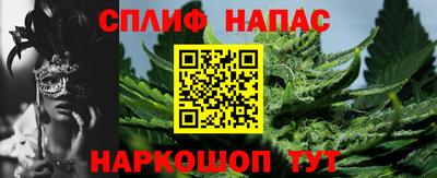 стафф Будённовск